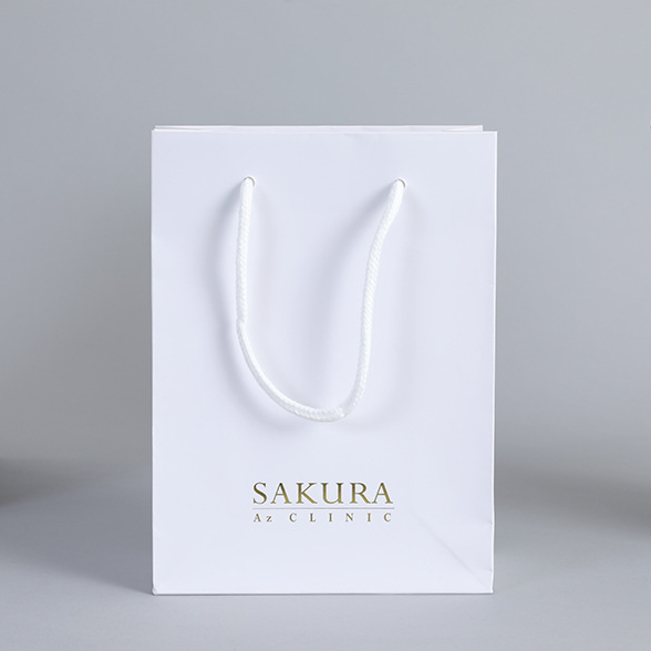 Customize Logo Personalized Retail Shopping Paper Bag