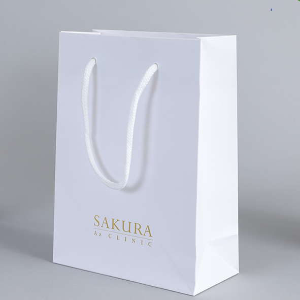 Customize Logo Personalized Retail Shopping Paper Bag